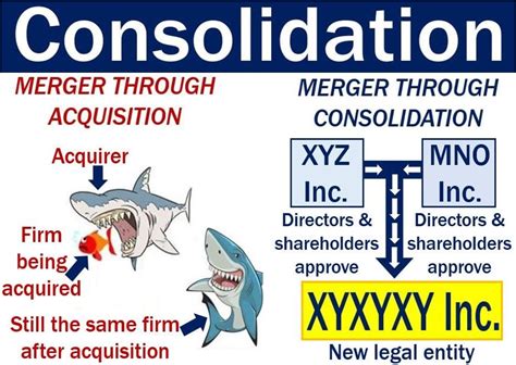 consolidation 뜻: 통합의 의미와 다양한 관점에서의 해석