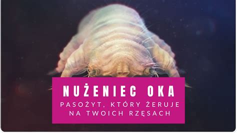  Konoplówka! Mały pasożyt, który potrafi zdominować całe ekosystemy